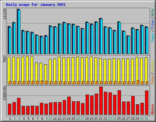 Daily usage for January 2021