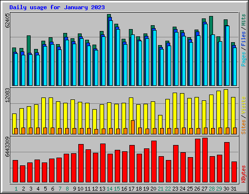 Daily usage for January 2023