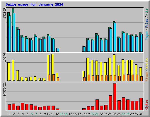 Daily usage for January 2024