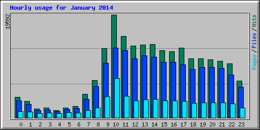 Hourly usage for January 2014