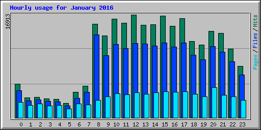 Hourly usage for January 2016