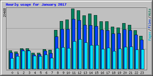 Hourly usage for January 2017