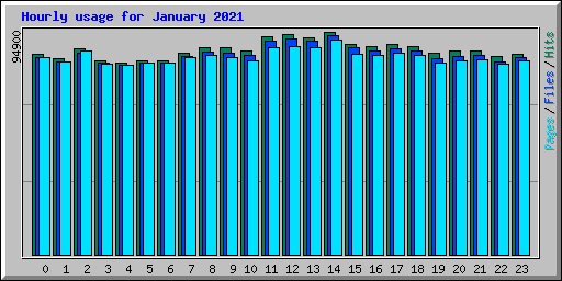 Hourly usage for January 2021