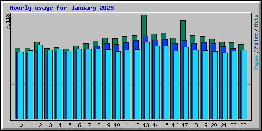 Hourly usage for January 2023