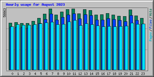 Hourly usage for August 2023