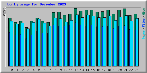 Hourly usage for December 2023