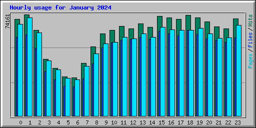 Hourly usage for January 2024