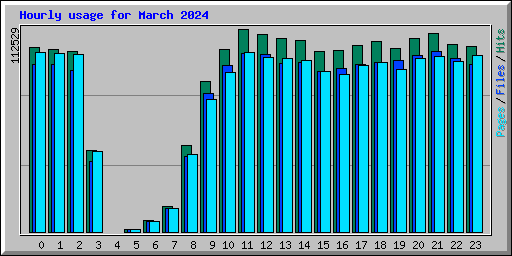 Hourly usage for March 2024